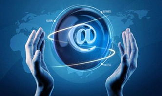 黑蜘蛛 数据赋能，引领传统企业掘金跨境电商新蓝海