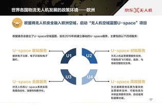 数据驱动的未来 199IT与互联网数据服务的深度洞察